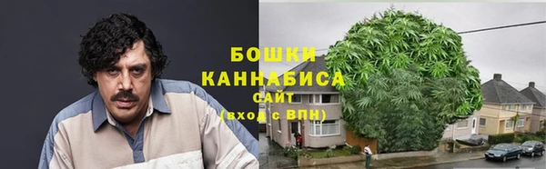spice Лагань