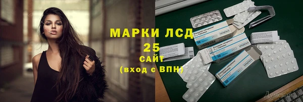 шишки Ладушкин
