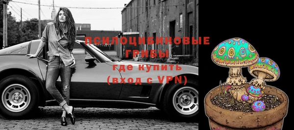 шишки Ладушкин