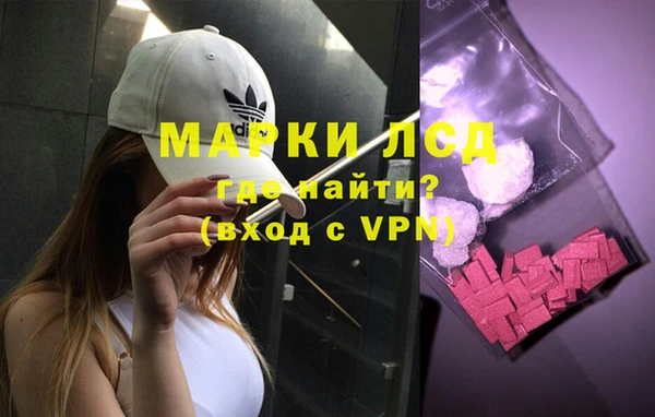 шишки Ладушкин