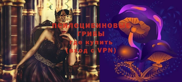 твердый Лабытнанги
