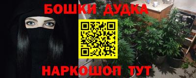 гашик Тверь