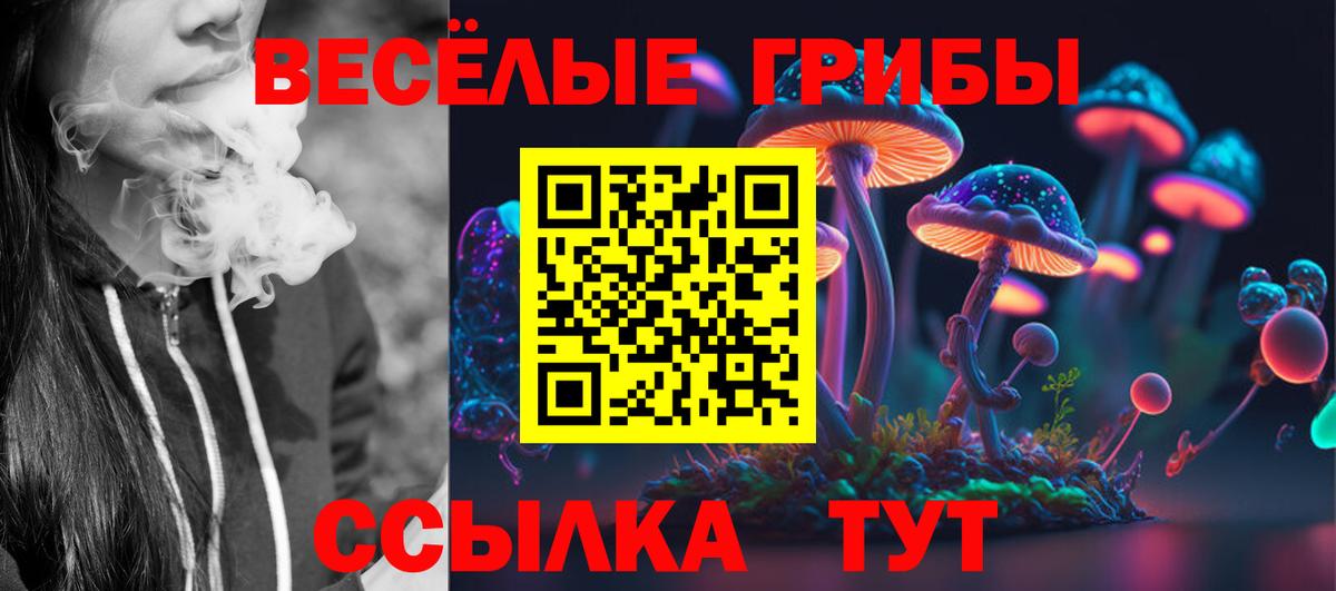 Псилоцибиновые грибы мицелий Усть-Илимск